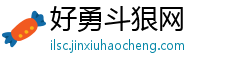 好勇斗狠网